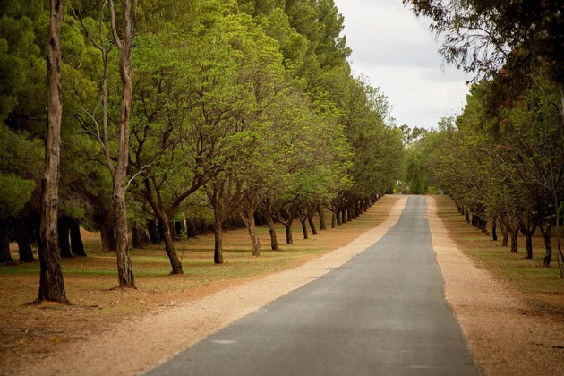 Gallery - Renmark Resort