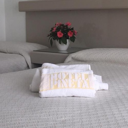 Gallery - Hotel Pineta