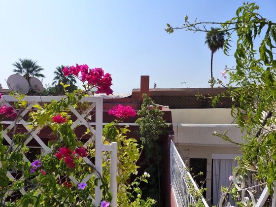 Gallery - Riad Marhbabikoum