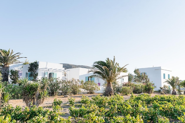 Gallery - Kostantakis Winery