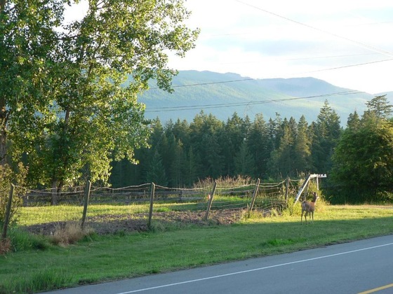 Gallery - Cedar Song B & B And Cottage