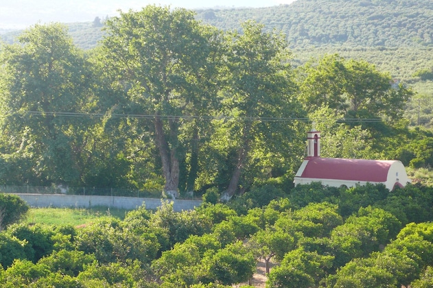 Gallery - Stefanos Garden