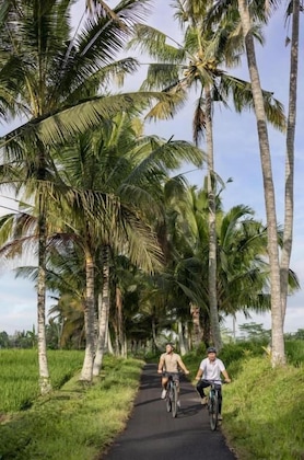 Gallery - Wapa Di Ume Ubud