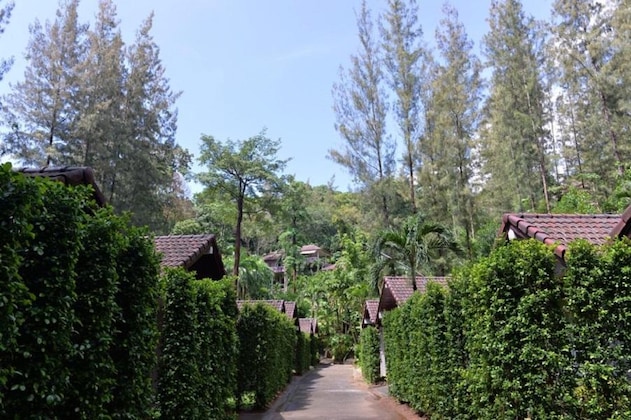 Gallery - The Delight Pine Tree Village