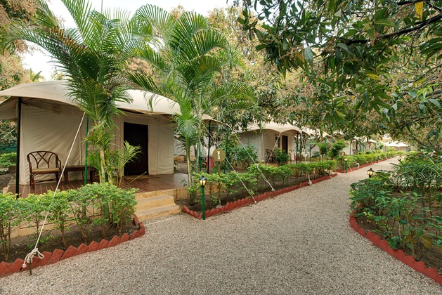 Gallery - Lion Safari Camp