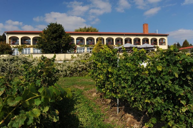 Gallery - Hotel Rebschule