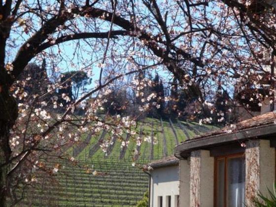 Gallery - Sporting Hotel Ragno D'oro