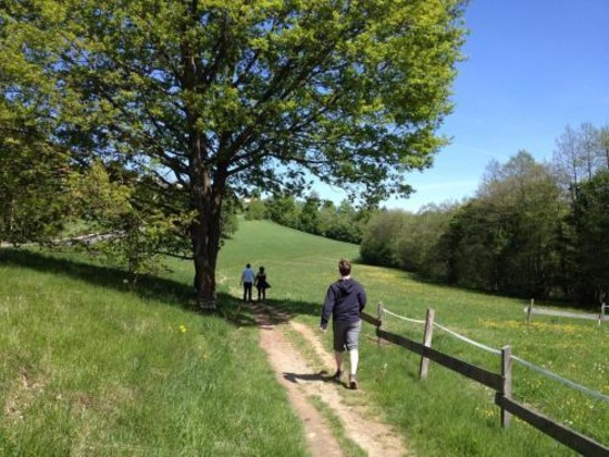 Gallery - Biohof Naturzeit Faaker See