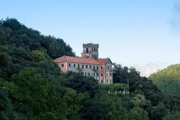 Gallery - Hotel Montallegro