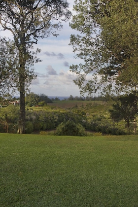 Gallery - Castaway Norfolk Island