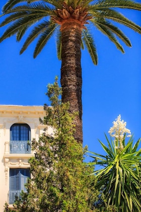 Gallery - Hôtel El Paradiso
