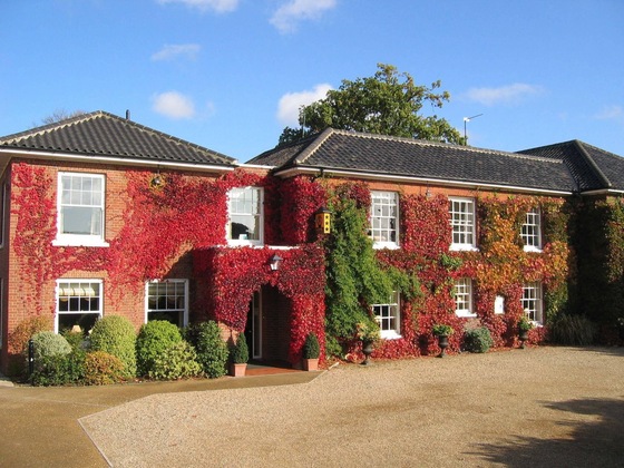 Gallery - Beechwood Hotel