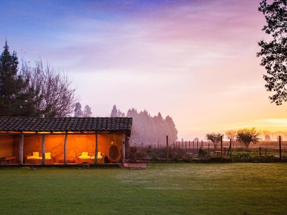 Gallery - Noi Blend Colchagua