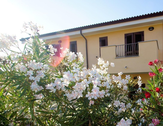 Gallery - Sa Fiorida Apartments