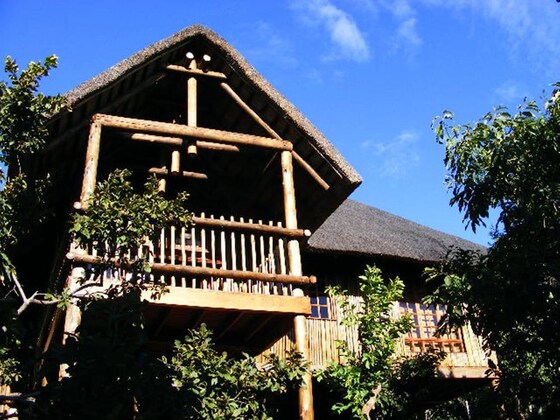 Gallery - Amafu Forest Lodge