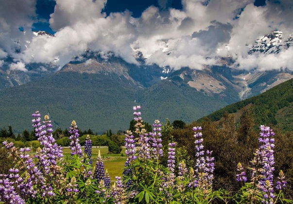 Gallery - Glenorchy Peaks B&B