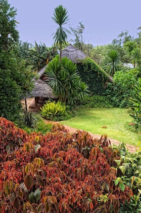 Gallery - Amanzi Lodge