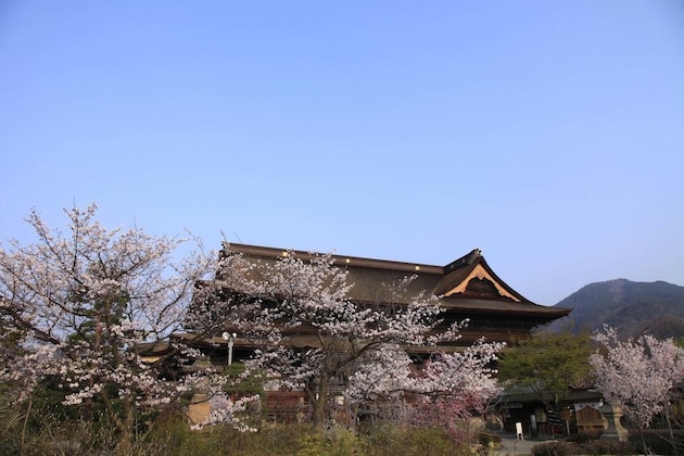 Gallery - Fujiiso