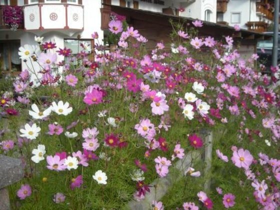 Gallery - Garni Hotel Concordia