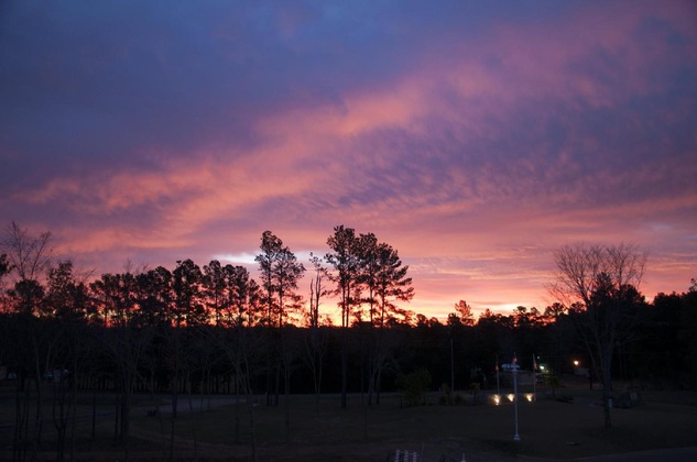 Gallery - Holiday Inn Club Vacations Villages Resort At Lake Palestine By Ihg