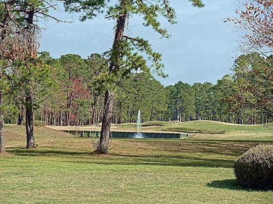Gallery - Windjammer Villas I