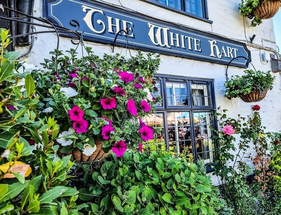 Gallery - The White Hart