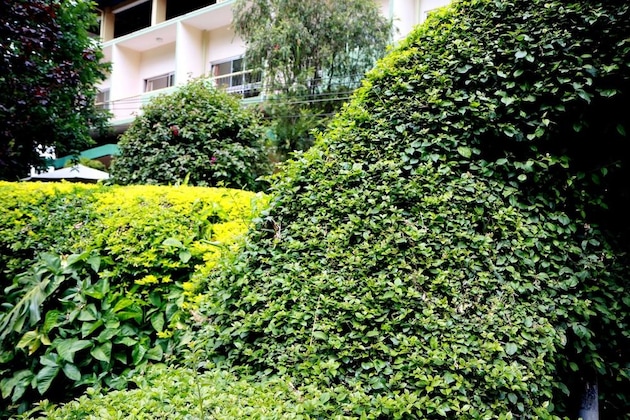 Gallery - The Equator Hotel
