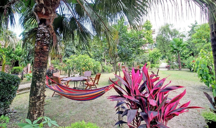 Gallery - Eden Jungle Resort