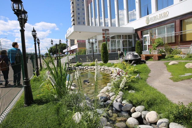 Gallery - Snowy Owl Hotel