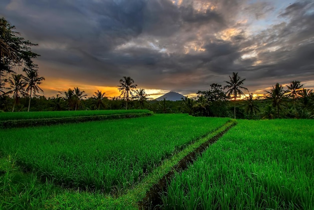 Gallery - Kawi Resort A Spiritual Sanctuary To Escape