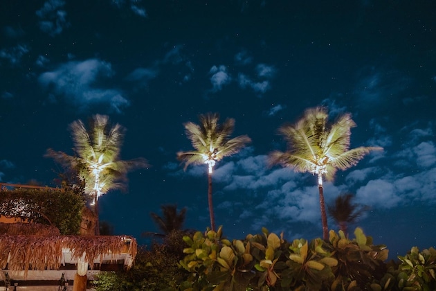 Gallery - Casa De Areia