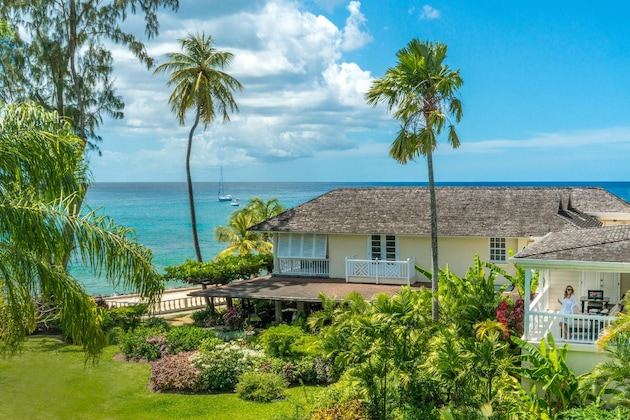 Gallery - Coral Reef Club