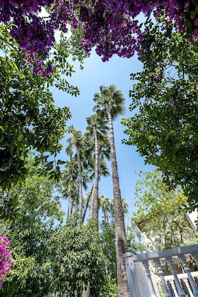Gallery - Riverside Garden Resort