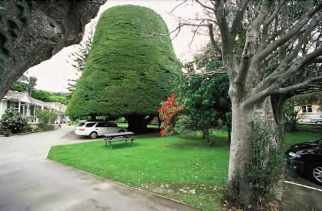 Gallery - Bucket Tree Lodge