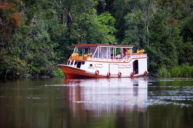 Gallery - Rimba Orangutan Eco Lodge