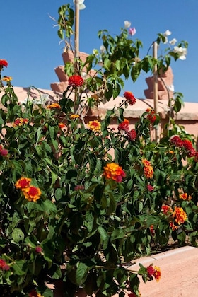Gallery - Riad Ella