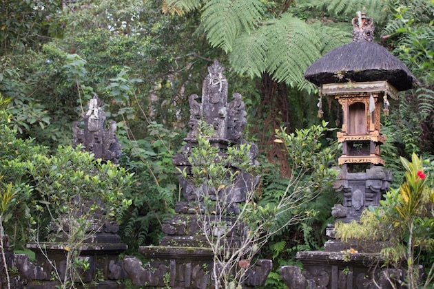 Gallery - Bali Lush