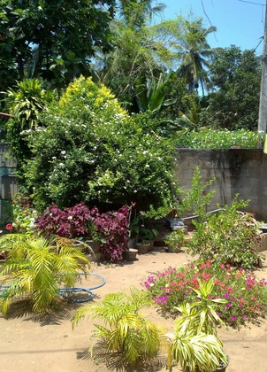 Gallery - White Villa