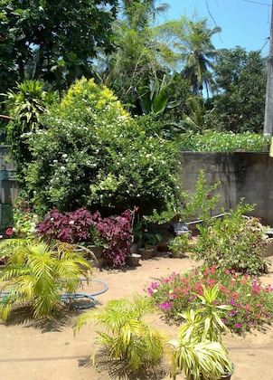 Gallery - White Villa