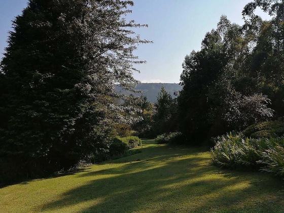Gallery - Sabi Star Chalets