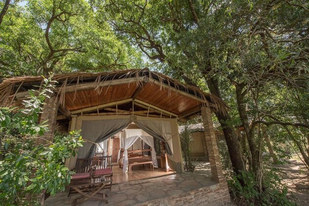 Gallery - Fig Tree Camp