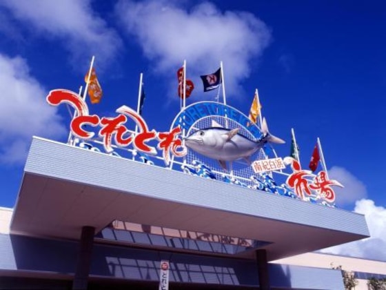 Gallery - Nankishirahama Hotel Akariya