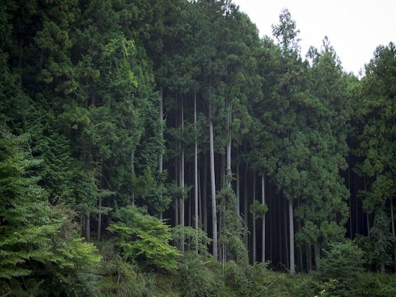 Gallery - Kominka Yado Loof Sakanoie