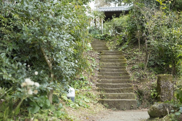 Gallery - Yurian