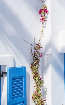 Gallery - Kadia Traditional Residences