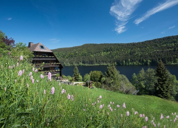 Gallery - Boutique-Hotel Alemannenhof