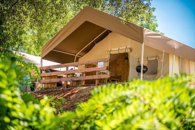 Gallery - Sunflower Camping