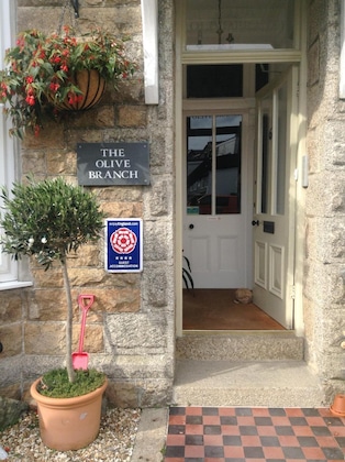 Gallery - The Olive Branch