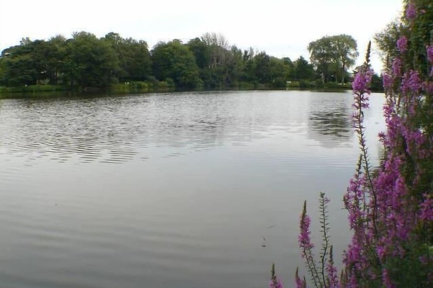 Gallery - Walden On The Pond Hotel