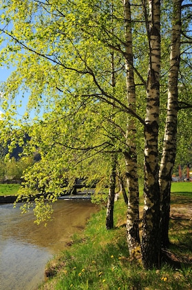 Gallery - Gaupnetunet Hotell Og Hytter